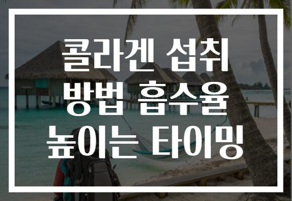 콜라겐 섭취 방법 흡수율 높이는 타이밍