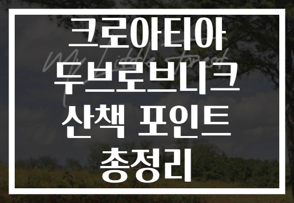 크로아티아 두브로브니크 산책 포인트 총정리