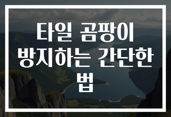 타일 곰팡이 방지하는 간단한 법