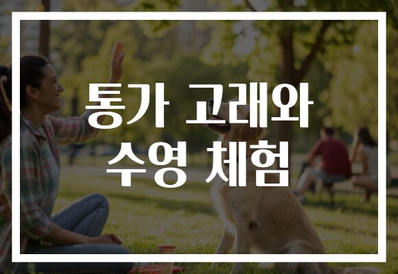 통가 고래와 수영 체험