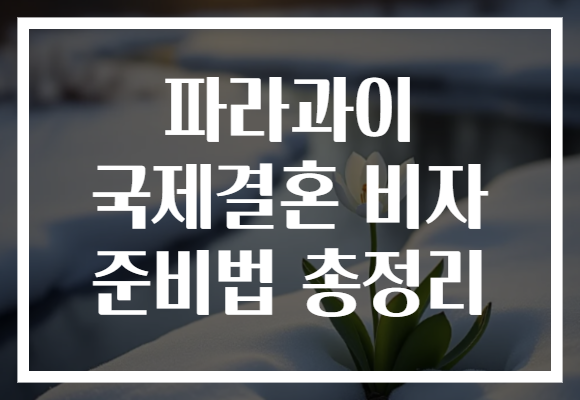 파라과이 국제결혼 비자 준비법 총정리