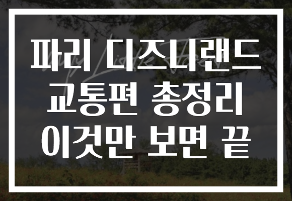 파리 디즈니랜드 교통편 총정리 이것만 보면 끝