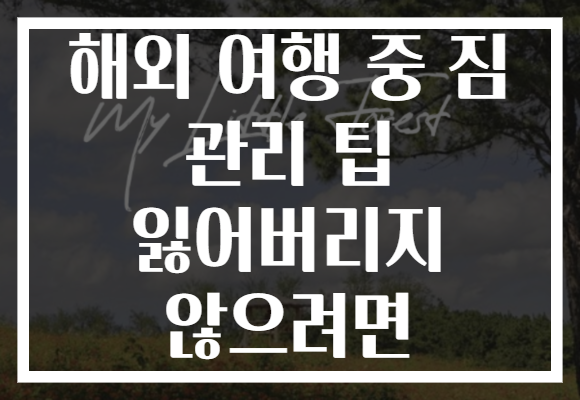 해외 여행 중 짐 관리 팁 잃어버리지 않으려면