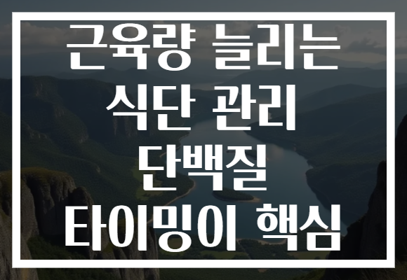 근육량 늘리는 식단 관리 단백질 타이밍이 핵심