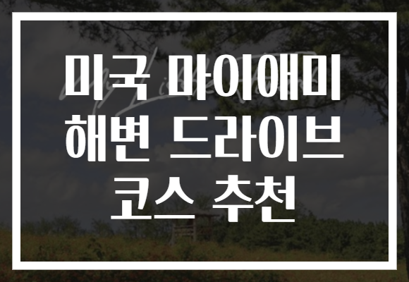 미국 마이애미 해변 드라이브 코스 추천