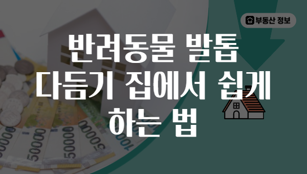 반려동물 발톱 다듬기 집에서 쉽게 하는 법