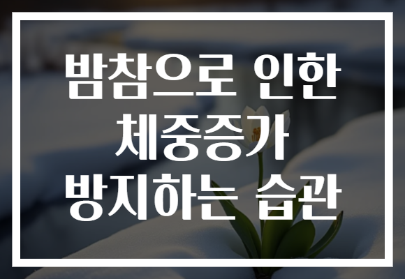 밤참으로 인한 체중증가 방지하는 습관