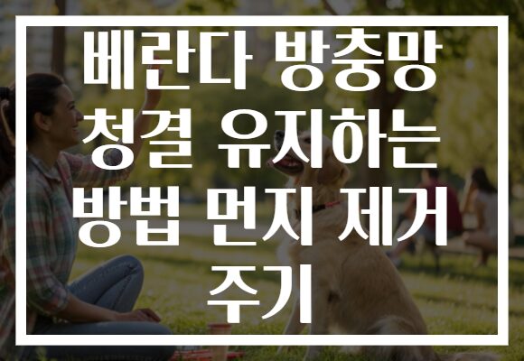 베란다 방충망 청결 유지하는 방법 먼지 제거 주기