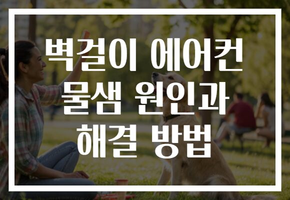 벽걸이 에어컨 물샘 원인과 해결 방법