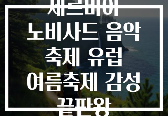세르비아 노비사드 음악 축제 유럽 여름축제 감성 끝판왕