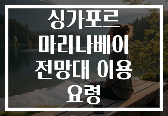 싱가포르 마리나베이 전망대 이용 요령