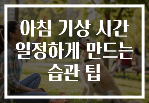 아침 기상 시간 일정하게 만드는 습관 팁