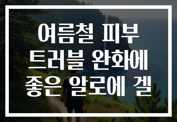 여름철 피부 트러블 완화에 좋은 알로에 겔