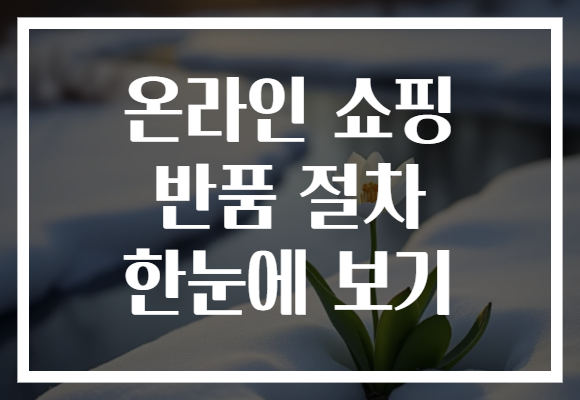 온라인 쇼핑 반품 절차 한눈에 보기