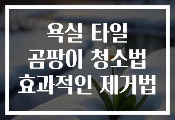욕실 타일 곰팡이 청소법 효과적인 제거법