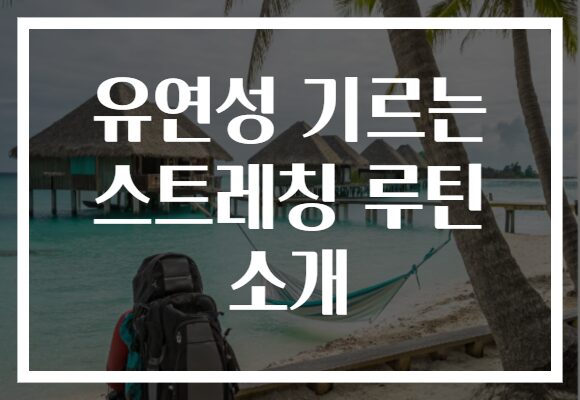 유연성 기르는 스트레칭 루틴 소개