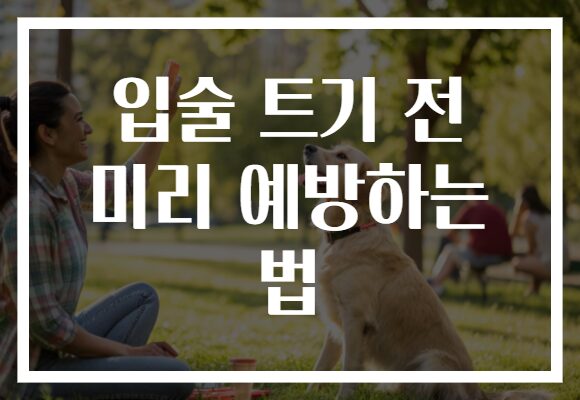 입술 트기 전 미리 예방하는 법
