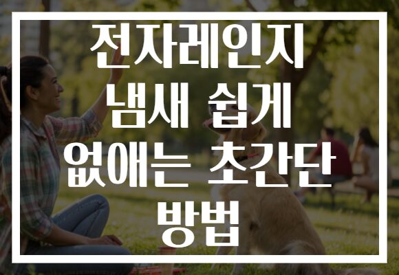 전자레인지 냄새 쉽게 없애는 초간단 방법