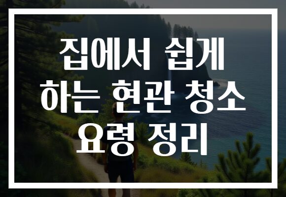 집에서 쉽게 하는 현관 청소 요령 정리