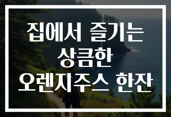 집에서 즐기는 상큼한 오렌지주스 한잔