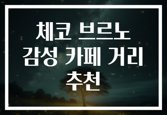 체코 브르노 감성 카페 거리 추천
