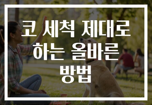 코 세척 제대로 하는 올바른 방법