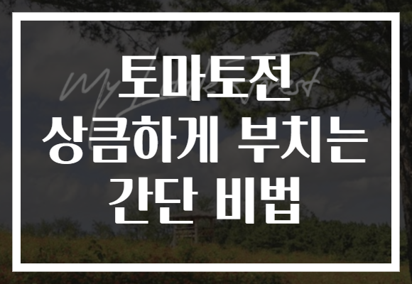 토마토전 상큼하게 부치는 간단 비법