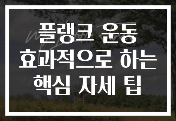 플랭크 운동 효과적으로 하는 핵심 자세 팁