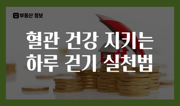 혈관 건강 지키는 하루 걷기 실천법