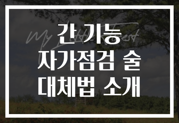 간 기능 자가점검 술 대체법 소개