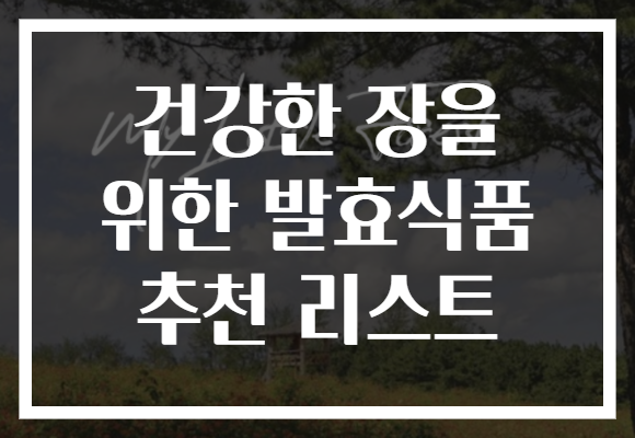 건강한 장을 위한 발효식품 추천 리스트