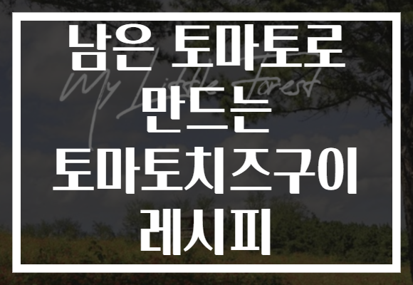 남은 토마토로 만드는 토마토치즈구이 레시피