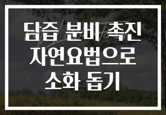 담즙 분비 촉진 자연요법으로 소화 돕기