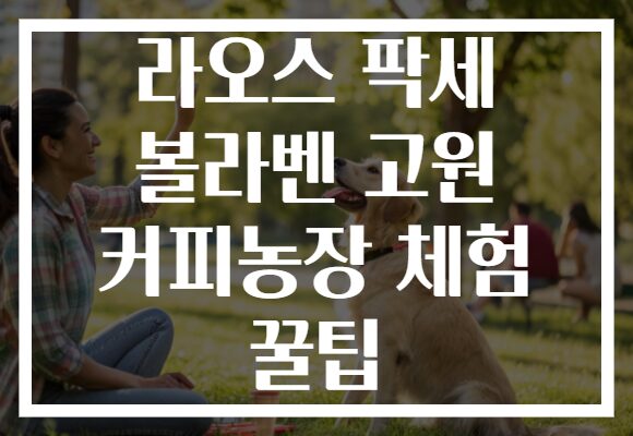 라오스 팍세 볼라벤 고원 커피농장 체험 꿀팁