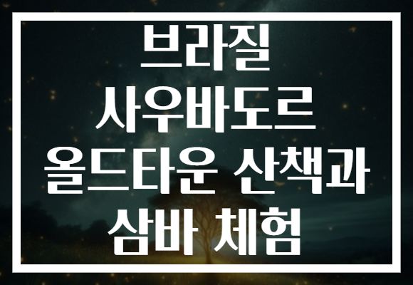 브라질 사우바도르 올드타운 산책과 삼바 체험