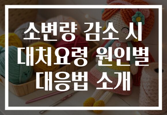 소변량 감소 시 대처요령 원인별 대응법 소개