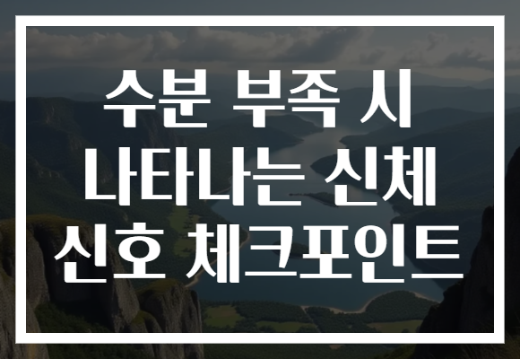 수분 부족 시 나타나는 신체 신호 체크포인트
