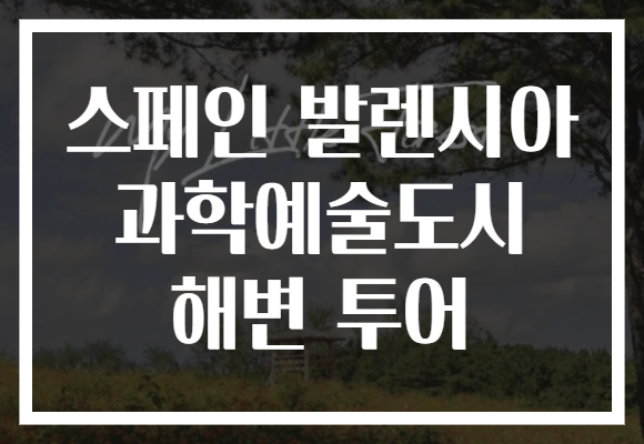 스페인 발렌시아 과학예술도시 해변 투어