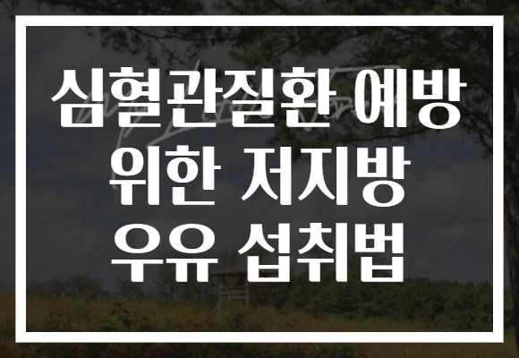 심혈관질환 예방 위한 저지방 우유 섭취법