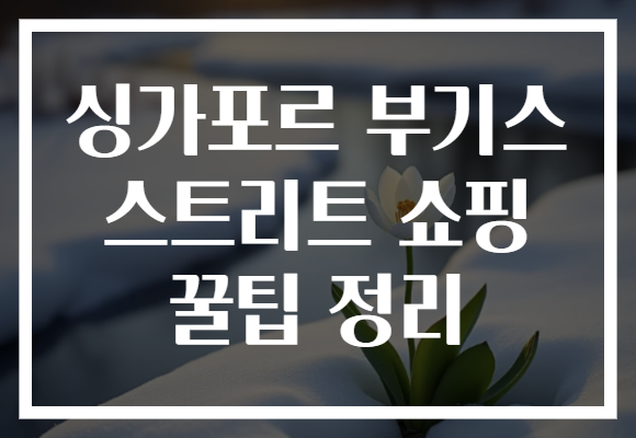 싱가포르 부기스 스트리트 쇼핑 꿀팁 정리