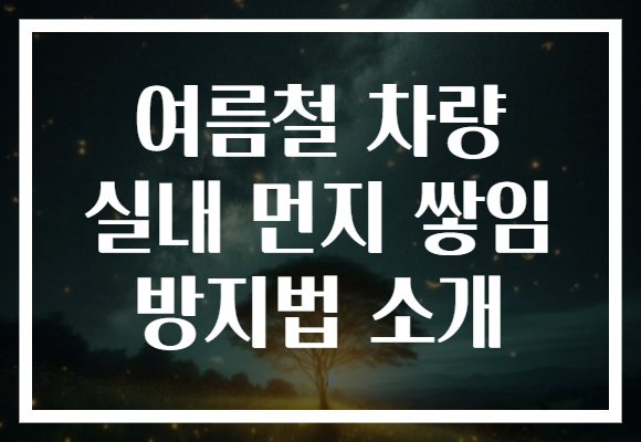 여름철 차량 실내 먼지 쌓임 방지법 소개