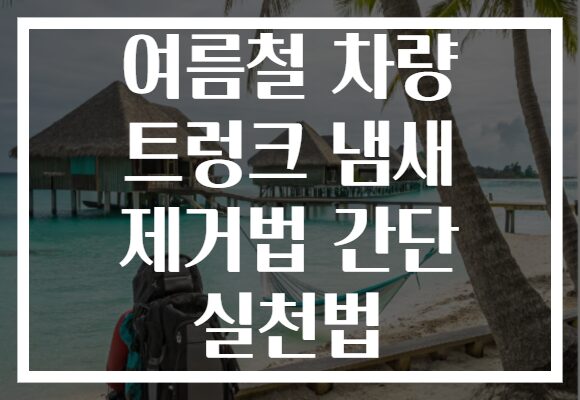 여름철 차량 트렁크 냄새 제거법 간단 실천법
