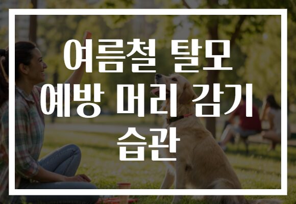 여름철 탈모 예방 머리 감기 습관