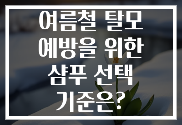 여름철 탈모 예방을 위한 샴푸 선택 기준은?