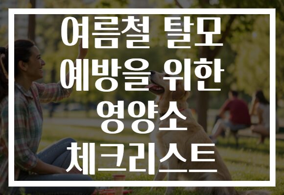 여름철 탈모 예방을 위한 영양소 체크리스트