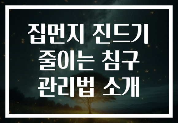 집먼지 진드기 줄이는 침구 관리법 소개