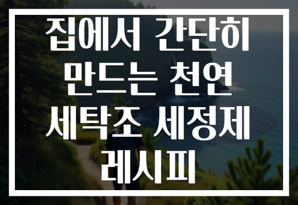 집에서 간단히 만드는 천연 세탁조 세정제 레시피