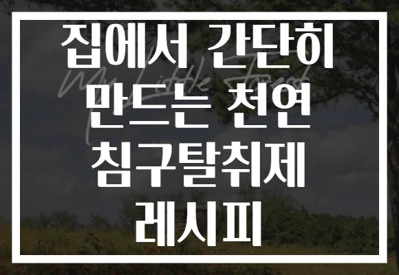 집에서 간단히 만드는 천연 침구탈취제 레시피