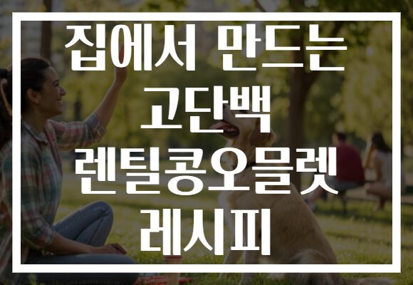 집에서 만드는 고단백 렌틸콩오믈렛 레시피