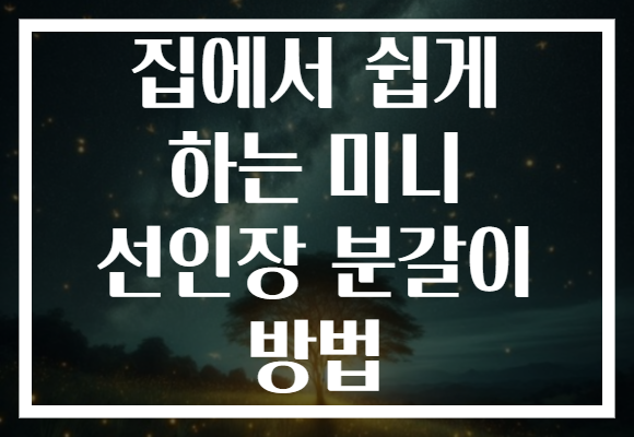 집에서 쉽게 하는 미니 선인장 분갈이 방법